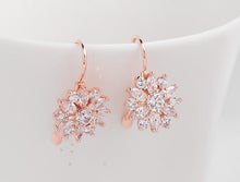 Load image into Gallery viewer, Brilliant Flower Stud Earrings - SexyBling