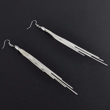 Load image into Gallery viewer, Silver Plated Long Hook Dangle Earrings - SexyBling