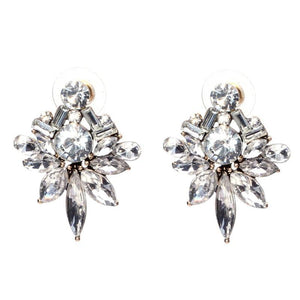 Elegant Shiny Crystal Earrings - SexyBling