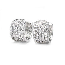 Load image into Gallery viewer, Round Loop Earrings For Women - SexyBling