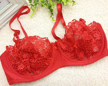 Load image into Gallery viewer, Sexy Embroidery Lace Mesh Bra - SexyBling
