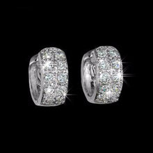 Load image into Gallery viewer, Round Loop Earrings For Women - SexyBling