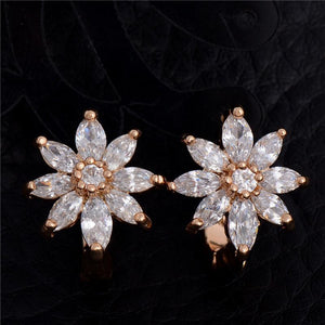 White Cubic Zircon Hoop Earrings - SexyBling