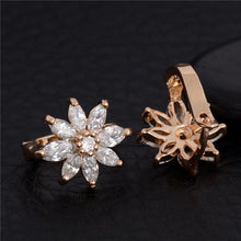 Load image into Gallery viewer, White Cubic Zircon Hoop Earrings - SexyBling