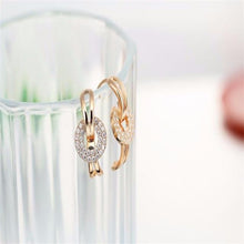 Load image into Gallery viewer, Circle Paved Zircon  Earrings - SexyBling