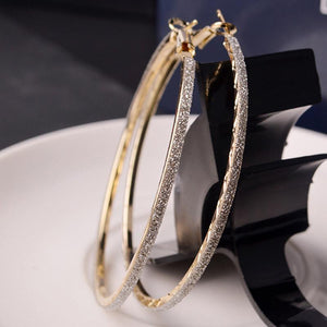 Elegant Hoop Classic Earrings - SexyBling