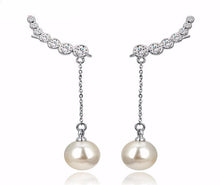 Load image into Gallery viewer, Cubic Zirconias Drop Imitation Earrings - SexyBling