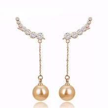 Load image into Gallery viewer, Cubic Zirconias Drop Imitation Earrings - SexyBling