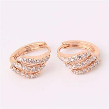 Load image into Gallery viewer, Round Crystal Cubic Zircon Earrings - SexyBling