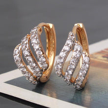 Load image into Gallery viewer, Round Crystal Cubic Zircon Earrings - SexyBling