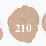 Load image into Gallery viewer, Whitening Foundation Concealer - SexyBling